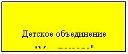 Подпись:  
Детское объединение 
"Мы  вместе"
